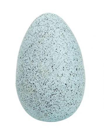 Speckled Egg image