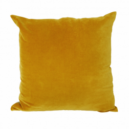 Gold Velvet Cushion image