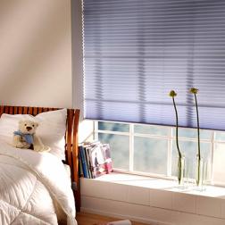 Pleated Blinds image
